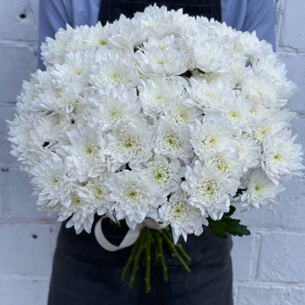 Белая кустовая хризантема - купить с доставкой в Набережных Челнах
