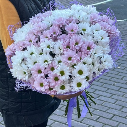 букет из розовой кустовой хризантемы - купить с доставкой в Набережных Челнах