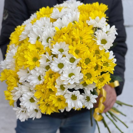 Букет из разноцветных хризантем - купить с доставкой в Набережных Челнах