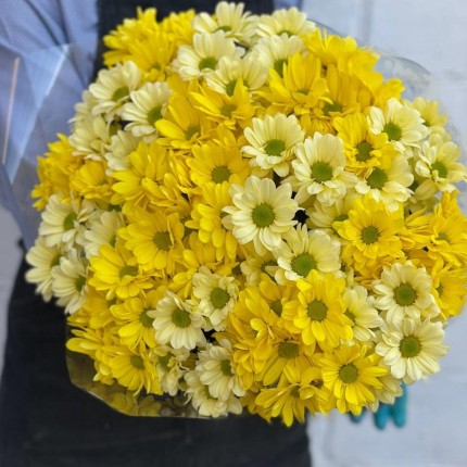 желтая кустовая хризантема - купить с доставкой в Набережных Челнах